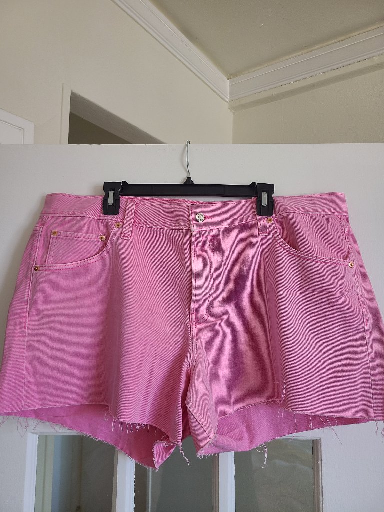 Worn Once, Pink Denim Gap Stride Shorts